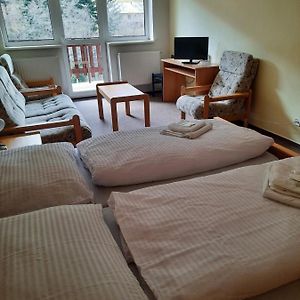 Apartament z 1 sypialnią